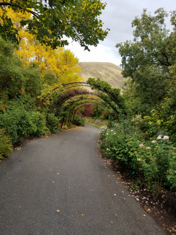 arboretum archway