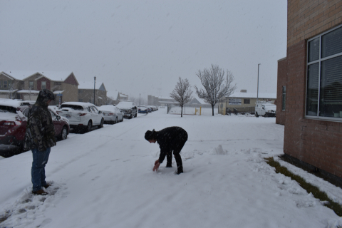 Jerick gathers the snow