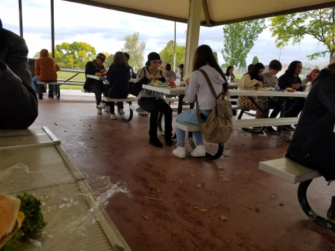 Students enjoy some packed lunches