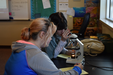 Ariel and Audrey examine their flower with a microscope