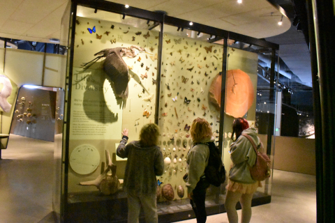 Students learn at the Museum of Natural History