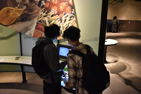 Students learn at the Museum of Natural History