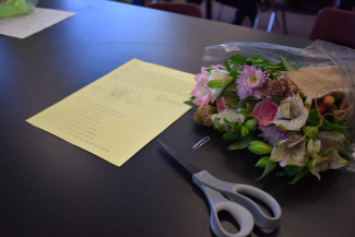 Botany Flower Disection Lab